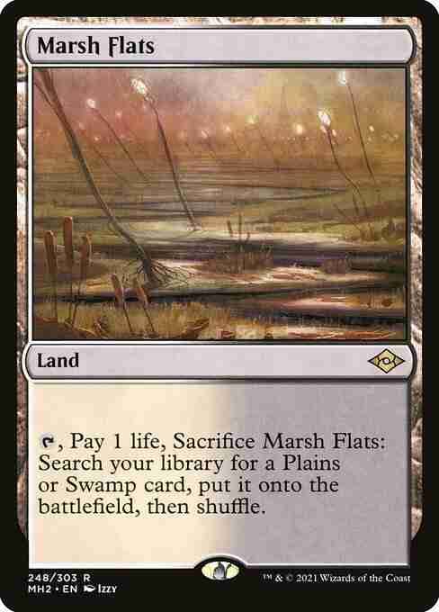 MTG Marsh Flats card
